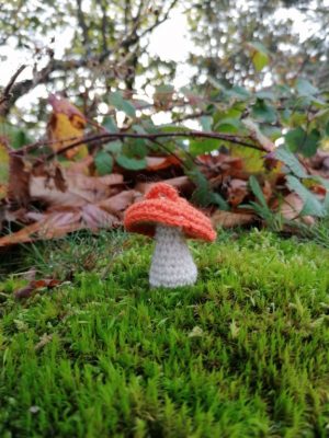 Porte-clés oronge , crocheté main , cn5