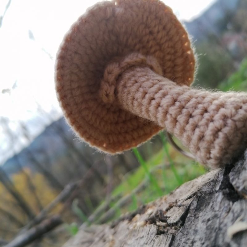 Porte-clés coulemelle , crocheté main beige marron n°2