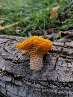 Porte-clés drôle de champignon , crochetée main, acrylique