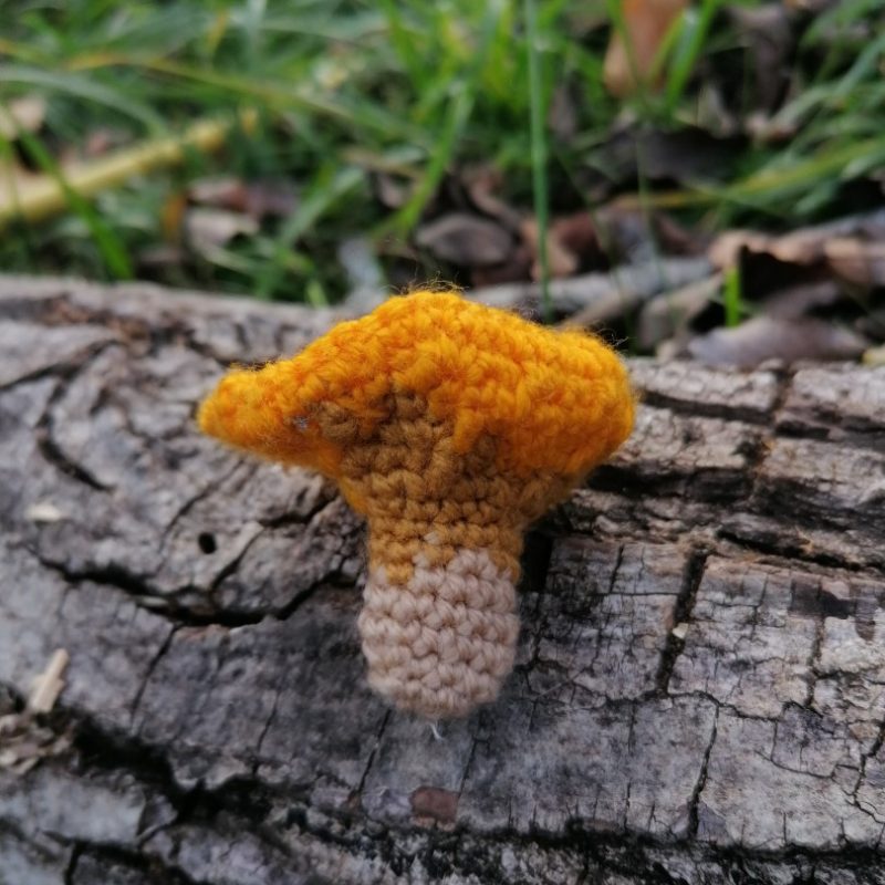 Porte-clés girole, champignon , crochetée main, acrylique