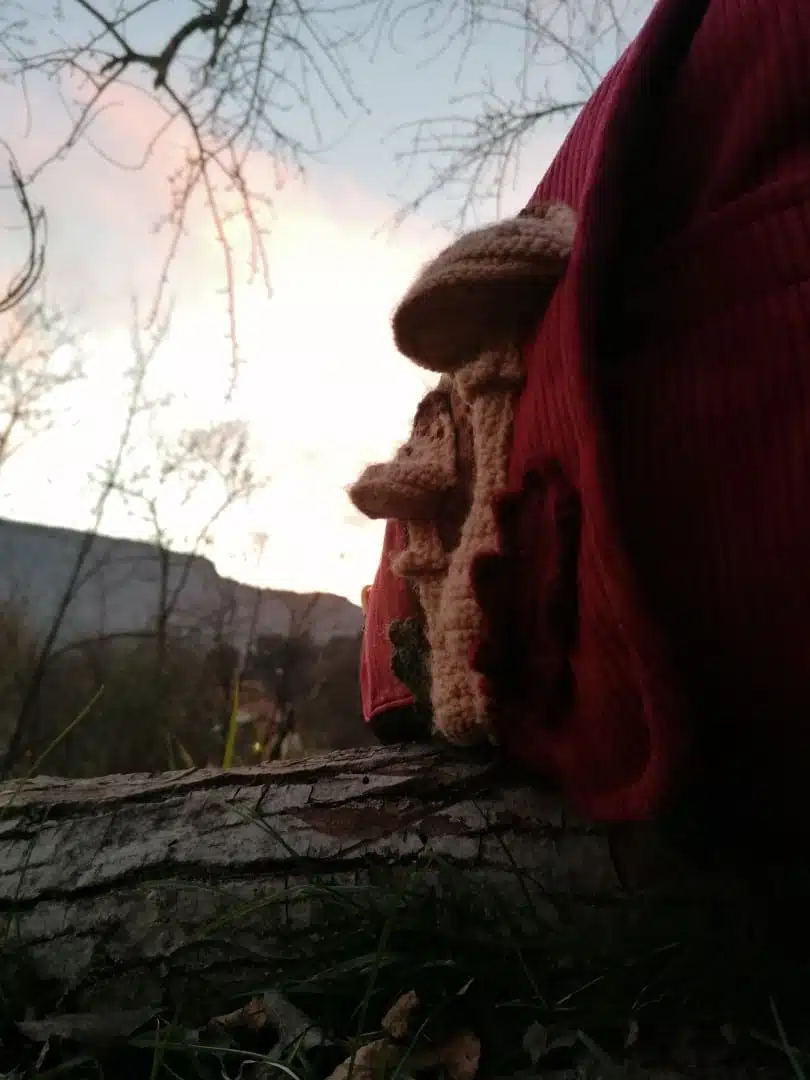 Sac, Grande Besace de survie Édition"La passion du rouge ", simili, velours, tissus d'ameublement , motifs coulemelles et feuilles crochetées main – Image 19