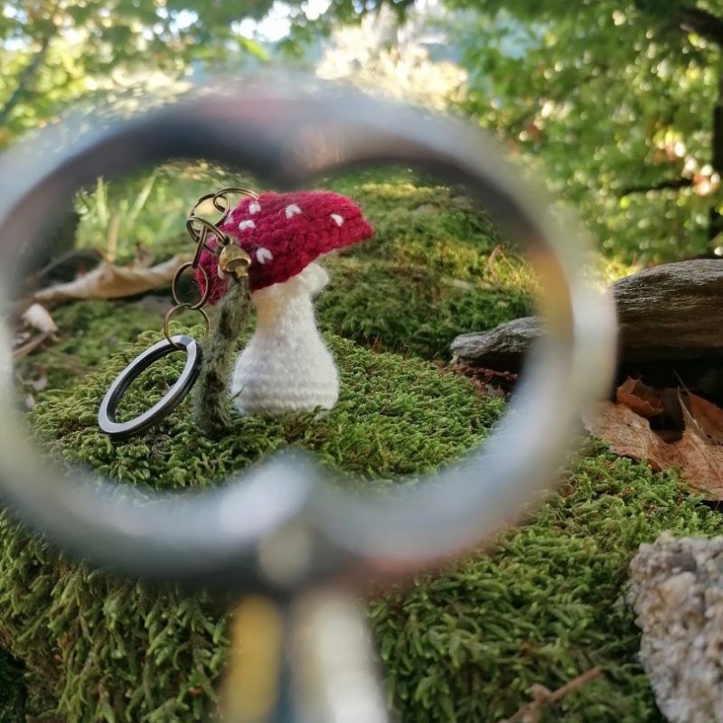 Porte-clés champignon , Amanite tue mouche et feuille verte foncée salamandingue au crochet , acryliques apprêts, ouate, n°3