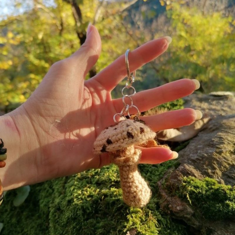 Porte-clés champignon , coulemelle et feuille jaune salamandingue au crochet , acryliques apprêts, ouate n°8