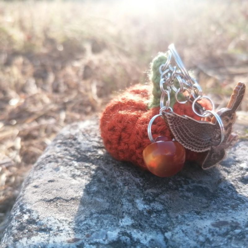 Porte-clès, légume d’automne, courge, crocheté main acrylique