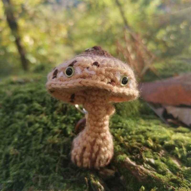 Porte-clés champignon , Champignon Coulemelle psyché , au crochet, acryliques apprêts, ouate