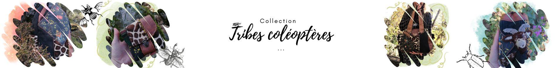 Collection Tribes Coléoptères