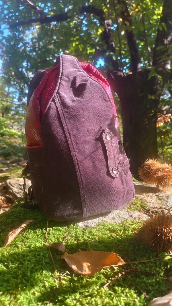 Sac à dos, 2 en 1  ,Capsule,  "Féroce" : Un Sac à Dos 2-en-1 pour Canaliser Votre Force Intérieure et Vous Élever,  Tissus , velours, simili ..