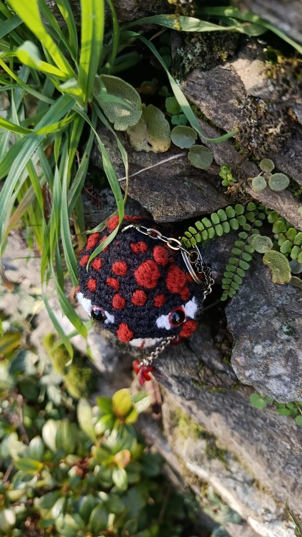 Porte-clés , champignon , Champi'fou noir aux spores roux psychédélique, crocheté main acrylique, ouate hypoallergénique – Image 9